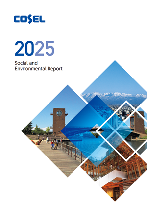 2025 Social and Environmental Report